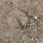 Suppenstube zur Krahe